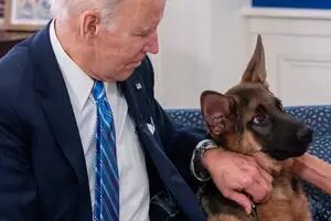 Filtran documentos internos sobre el comportamiento del perro de Biden en la Casa Blanca