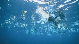 El documental cita varios estudios sobre la "masa de plástico que entra en el océano desde tierra".