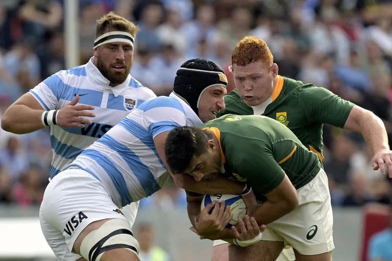 Cuándo juegan Pumas en el Rugby Championship: día, hora y TV de partido vs.  Africa del Sur