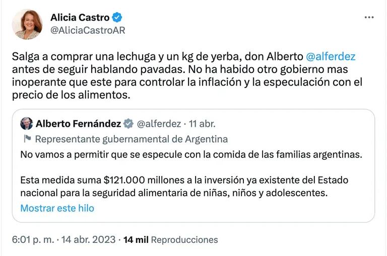 El tuit con el que Alicia Castro criticó a Alberto Fernández