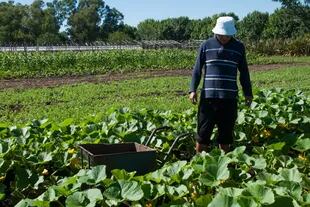 Presos de La Plata donaron 140 kilos de verduras a un comedor comunitario