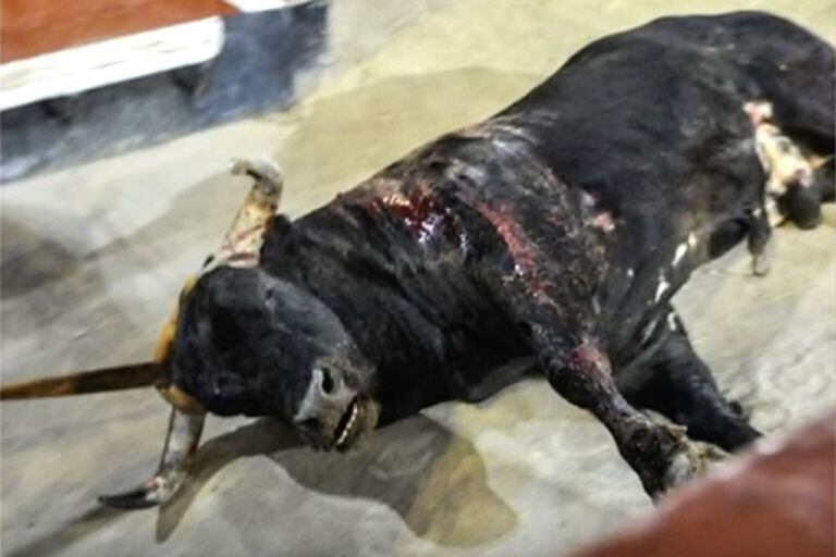 El toro masacrado, publicado por Hamilton en Instagram.