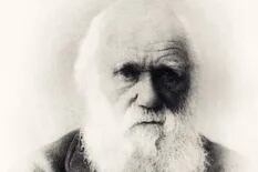 5 anécdotas poco conocidas de la travesía de Charles Darwin por América del Sur
