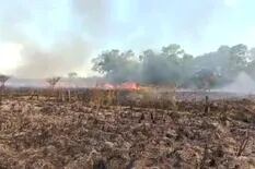 “Fue intencional”: la indignación de un productor por un feroz incendio en su campo