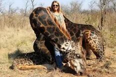 Cazó a una jirafa negra, se sacó una foto y las redes estallaron de bronca