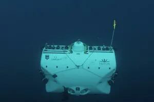 Ciencia: descienden hasta las profundidades del mar y se llevan una sorpresa