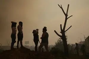 Tragedia en Chile por los incendios: “Nos quedamos absolutamente sin nada en un minuto”