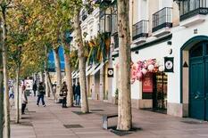 Argentinos con ciudadanía italiana compran en los barrios más caros de Madrid y pagan hasta €9000/m2