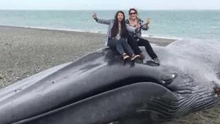 Dos mujeres arriba de la ballena