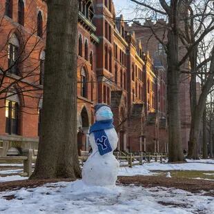 Un muñeco de nieve con barbijo en el patio de la Universidad de Yale (Foto: Instagam @yale)