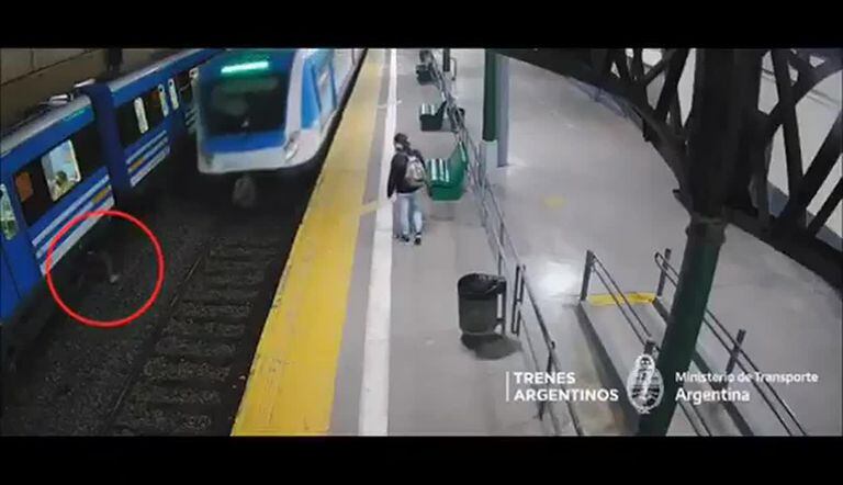 De película: robó un celular, se arrojó a las vías y pasó debajo de dos trenes
