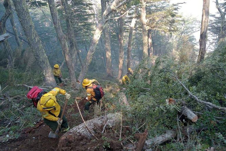 Bpmberos trabajan para combatir los incendios en Aluminé