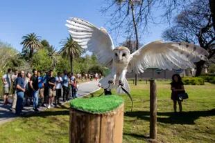 La observación de aves es una de las actividades propuestas en el Ecoparque de la ciudad