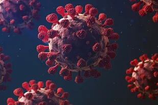 El coronavirus afecta más a unos organismos que a otros y los expertos empiezan a conocer las razones.