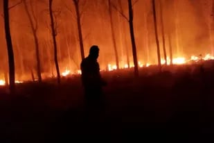 Se vienen registrando fuertes pérdidas por los incendios forestales