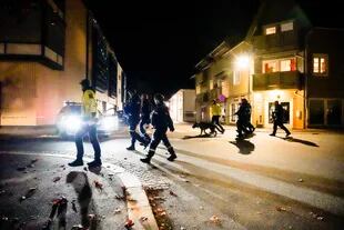 Efectivos de la policía noruega en la escena del ataque, en Kongsberg (Photo by Håkon Mosvold Larsen / NTB / AFP) / Norway OUT