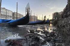 Tras la inundación, ahora la marea baja complica a Venecia