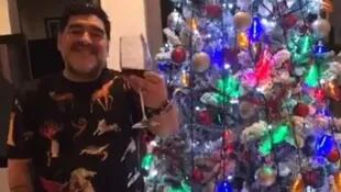 Maradona junto al árbol y la copa