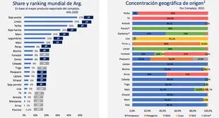 Share y ranking de los productos argentinos en el mundo