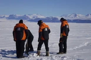 La variante ómicron llegó a la Antártida y afectó a científicos ya vacunados