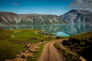 Revelaron la verdadera razón por la que los vikingos abandonaron Groenlandia y el descubrimiento desmintió una vieja creencia
