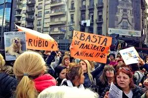 En Buenos Aires y la Costa. Protestas contra hombre que mató al perro "Rubio"