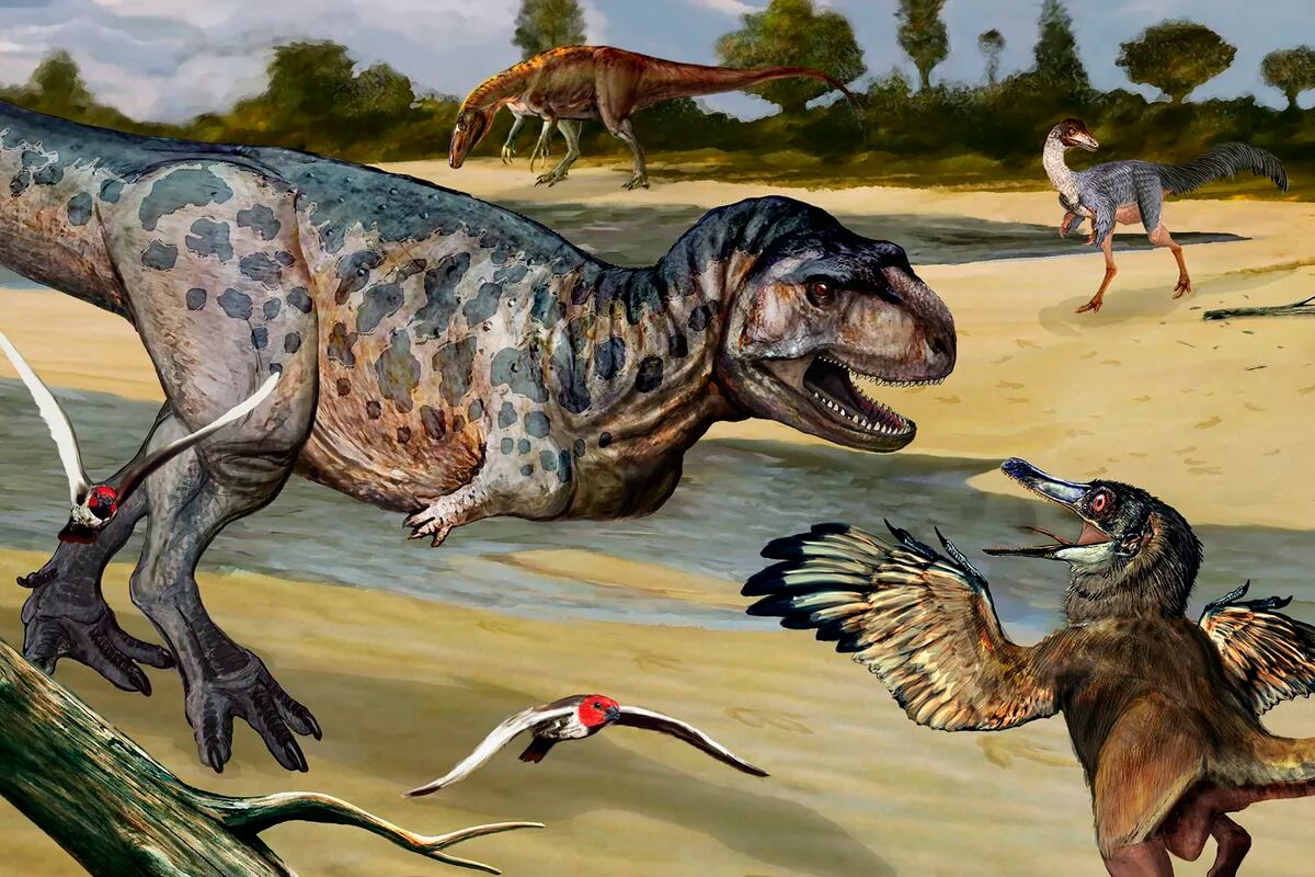 Cómo era el dinosaurio carnívoro descubierto en Neuquén y por qué es una  pieza clave - LA NACION