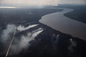 Detuvieron a tres personas que iniciaban un incendio en las islas del Delta del Paraná