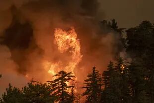 Un incendio consume parte del Bosque Nacional de Los Ángeles el 10 de septiembre de 2020 al norte de Monrovia, California.