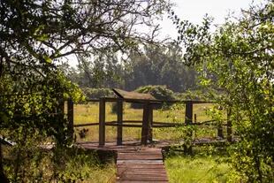 En la Reserva El Destino se pueden realizar paseos diarios, cabalgatas y senderismo con acceso a los jardines y a la ribera del Río de la Plata, y visitar la Casa Museo.