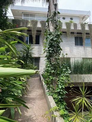 La vegetación tropical acompaña el camino de entrada. En los balcones cuelgan los Drosanthemum floribundum, que se llenande flores color rosa; y en la terraza, los Equisetum hyemaledan un marco verde todo el año