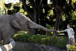 Una elefanta llamada Mara y la magia de la poesía