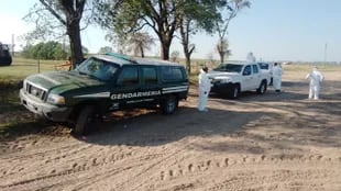 Agentes del Centro Regional Córdoba del Senasa hicieron controles de ruta en diferentes puntos acompañados de la policía, Gendarmería y diferentes dependencias provinciales. Foto: Senasa