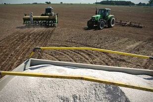 Frente a una menor demanda, el precio de los fertilizantes se mantiene en baja