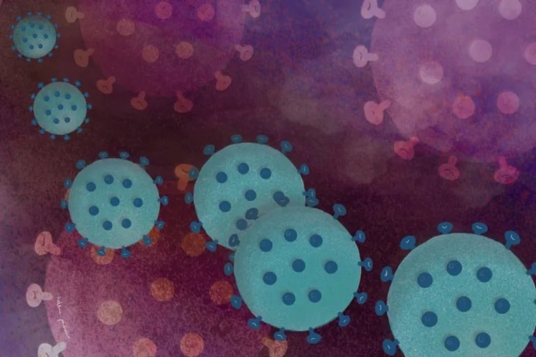 Nuevas variantes inmunoevasoras del coronavirus podrían derivar en más olas de contagios: qué prevén expertos locales