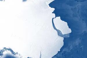 Alerta científica: el iceberg más grande del mundo se desprendió de la Antártida