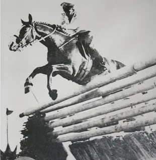 Santa Fe, el caballo olímpico que fue enterrado en Campo de Mayo 