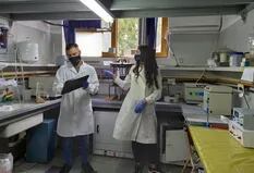 Investigadores argentinos, premiados por un método que  transforma cáscara de soja en celulosa y almidón