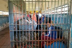 Los presos iniciaron medidas de protesta en seis cárceles bonaerenses