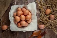 Lo que nos dice de la crisis económica global el racionamiento temporal de huevos en el Reino Unido