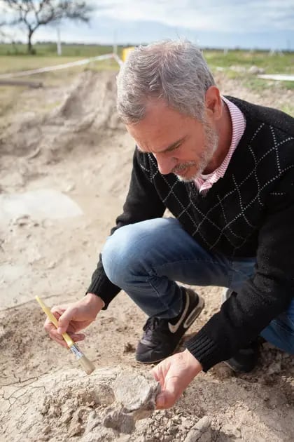 Walter Parra, que es profesor de matemática, se entretiene analizando los fósiles en la Reserva Paleontológica Campo Spósito.