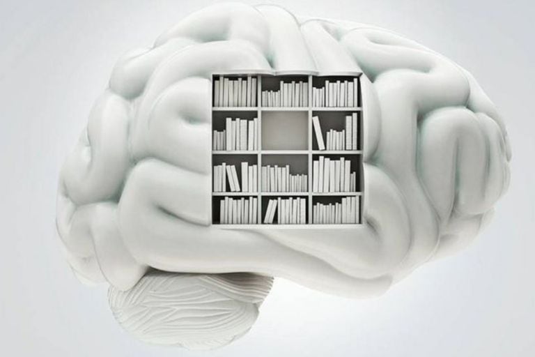 Hay que proteger lo que la lectura profunda logró hacer en el cerebro