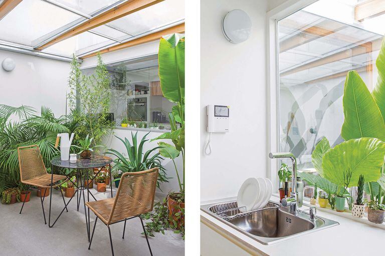 De viejo PH vertical a casa-taller con terraza y pulmón verde en pleno Palermo