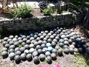 David Olson lleva desenterradas 158 bolas de bowling de su jardín trasero