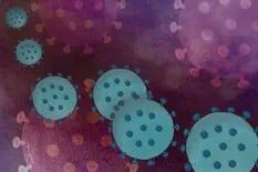 Variantes inmunoevasoras del coronavirus derivarían en nuevas olas de contagios: qué prevén expertos locales