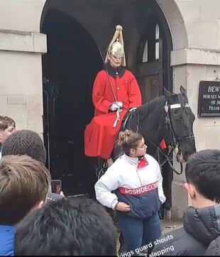 Una mujer golpeó al caballo real y la reacción del guardia fue contundente 
