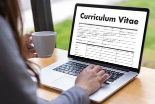 A Well-Written Cv Should Emphasize The Applicant'S Skills
