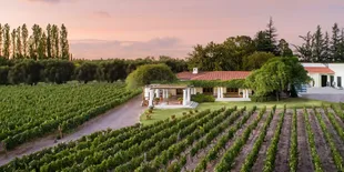 Estas son las bodegas que no podés dejar de visitar en Mendoza.