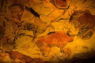 Aseguran que los cavernícolas estaban “alucinando” cuando pintaban las cuevas