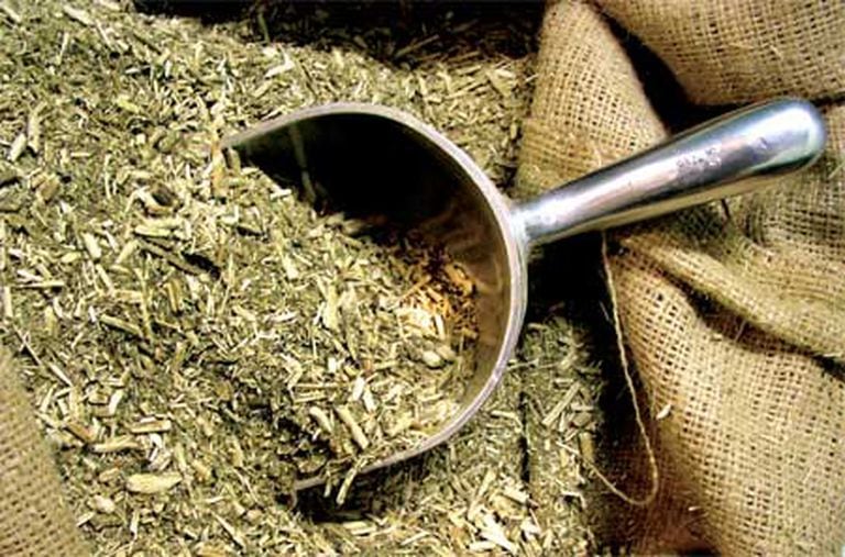 Todo lo que no sabías sobre la yerba mate - LA NACION